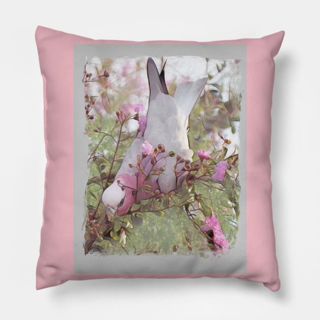 Galah, Australia. Pillow by Kielly