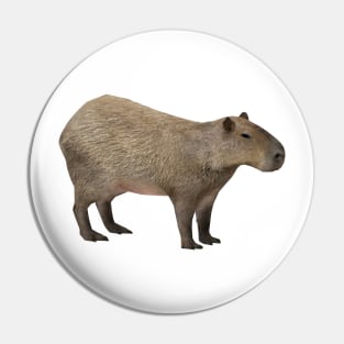 Capybara Pin