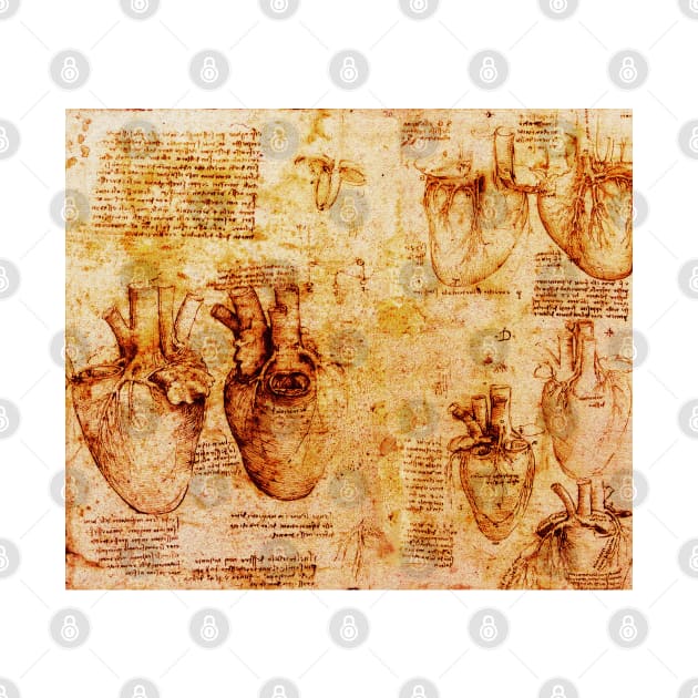 Heart And Its Blood Vessels, Leonardo Da Vinci Anatomy Drawings  Monochrome Brown Parchment by BulganLumini