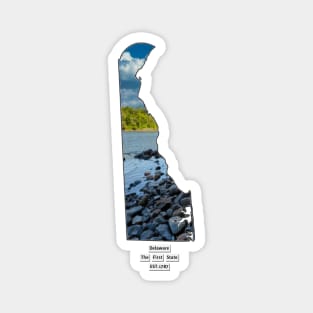 Delaware USA Magnet