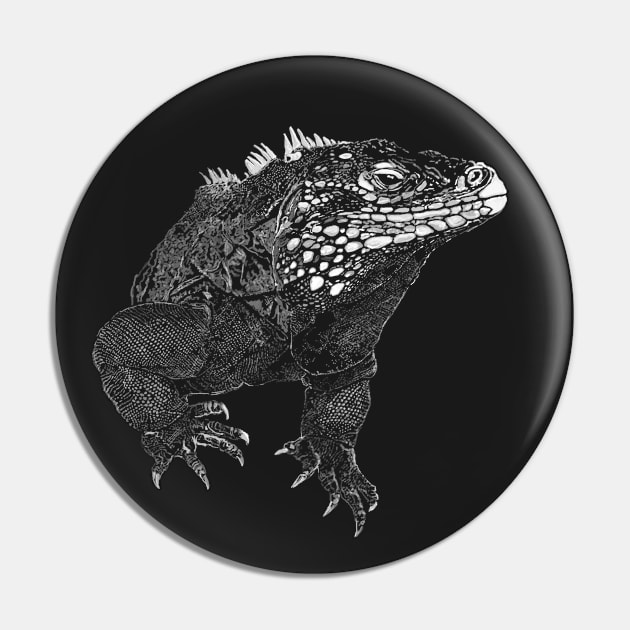 Iguana Pin by rlnielsen4