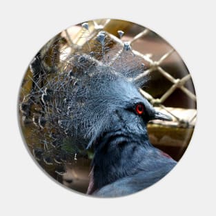 Victoria Crowned Pigeon Pin