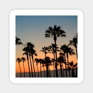 Palm Trees in an Orange Glow sunset sky in Los Angeles California Magnet