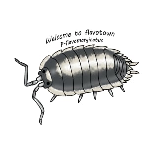 P.flavomarginatus Weclome to flavotown T-Shirt