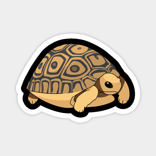 Cute leopard tortoise Magnet by Ellis