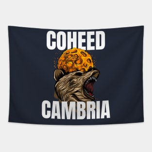 Coheed cambria Tapestry