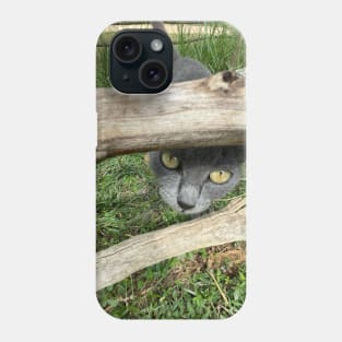 a grey African cat Phone Case