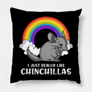 I Just Really Like Chinchillas Cute Pet Gift Pillow