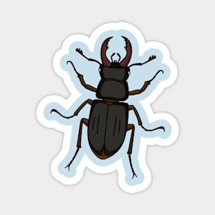 Stag beetle insect illustration Magnet