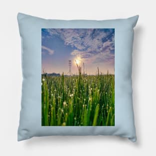 Sunrise And Morning Dew Pillow