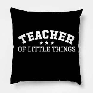 Teacher of all things Funny Teacher Pillow