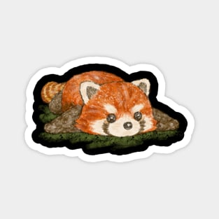 Red panda in prone position Magnet