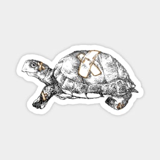 Healing Turtle Magnet