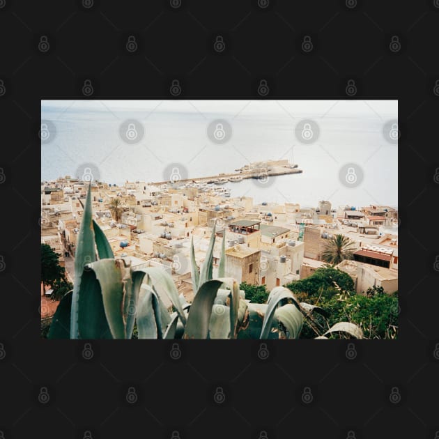 Bella Italia - Marettimo Shot on Film by visualspectrum