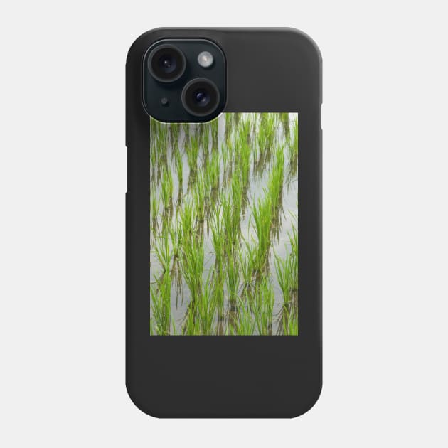 Green Padi Phone Case by fotoWerner