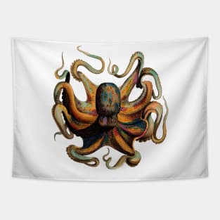 Vintage Octopus Illustration Tapestry