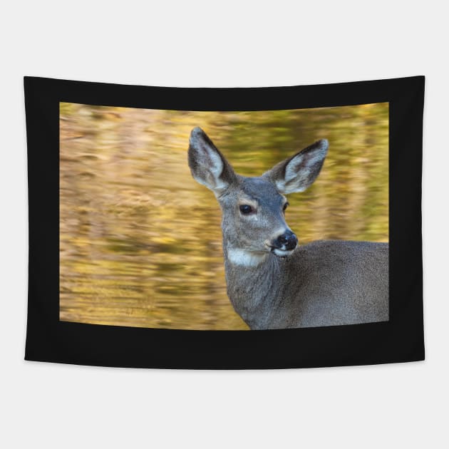 Seasonal Deer Tapestry by jvnimages