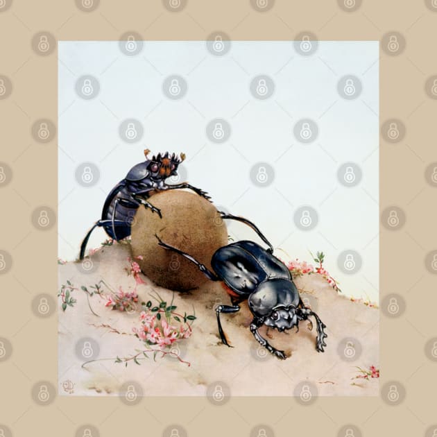 Sacred scarabs (Scarabaeus sacer) rolling a dung ball. by Luggnagg