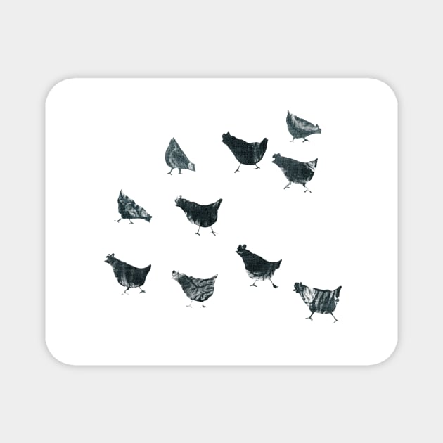 White chooks Magnet by FJBourne