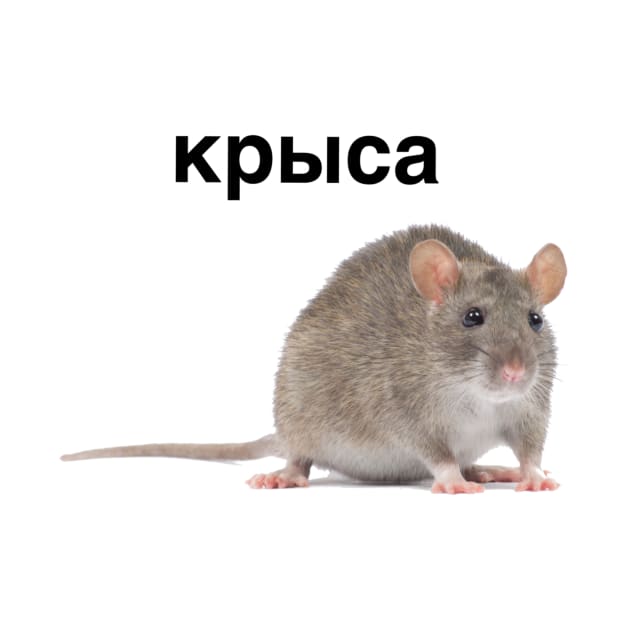 Крыса rat meme russian tee by EndyWay