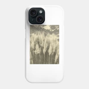 White Pampas Grass with dramatic sky above, nature sepia color photography Phone Case