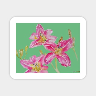 Pink Lily Flower Watercolor Painting Pattern - on Apple Green Magnet