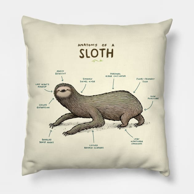 Anatomy of a Sloth Pillow by Sophie Corrigan