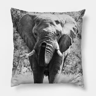 Elephant (Monochrome) Pillow