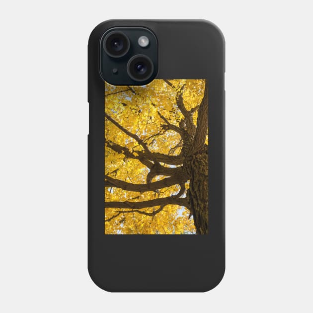 Under A Yellow Tree - Portrait Phone Case by wlotus