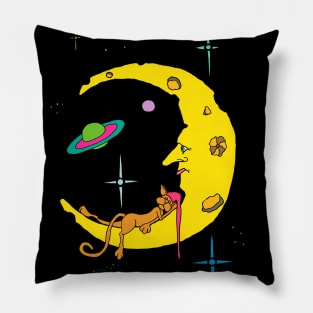 Cat Sleeping on the Moon Pillow