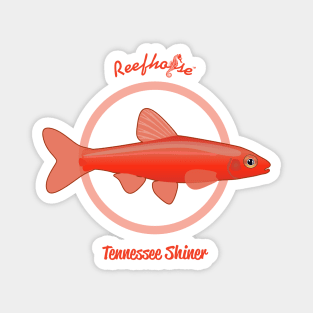 Tennessee Shiner Magnet