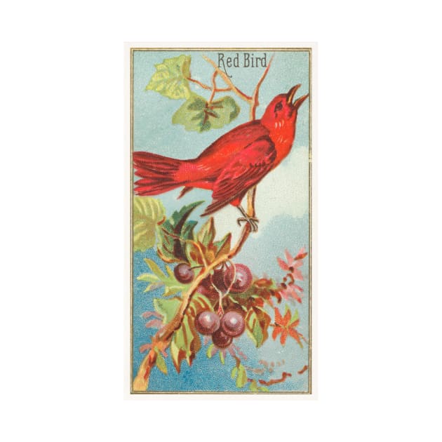 Red Bird by WAITE-SMITH VINTAGE ART