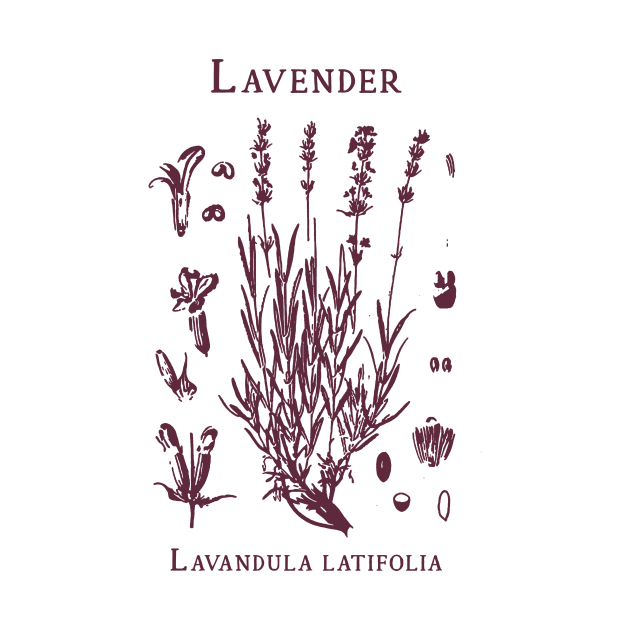 Vintage Lavender 90s Graphic T-Shirt, Retro Lavender Shirt, Wildflowers Nature Shirt, Botanical by Justin green