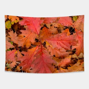 Colorful Autumn Oak leaves Tapestry