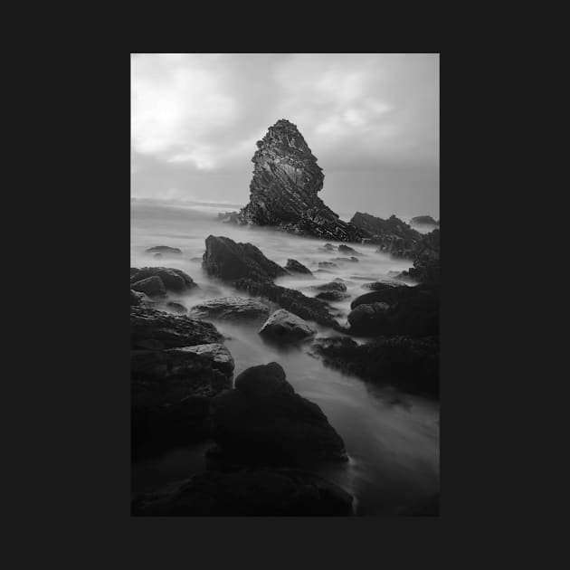 St. Gwenfaen's Pillar in Black & White by dumbodancer