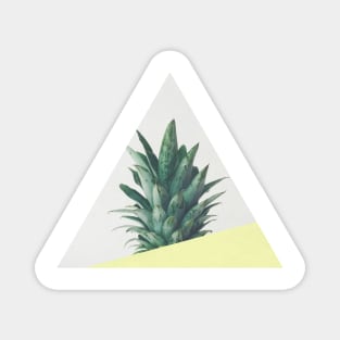 Pineapple Dip III Magnet