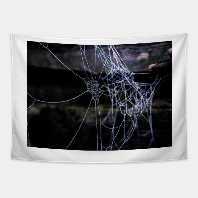 Frozen Webs 1 Tapestry by arc1