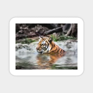 Tiger Swimming Magnet