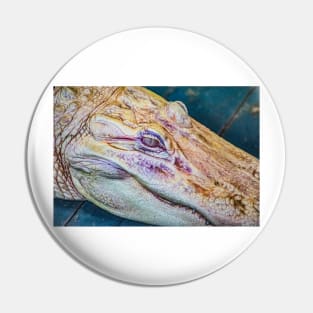 Face of a albino alligator Pin