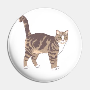 Brown and White Tabby Cat Pin