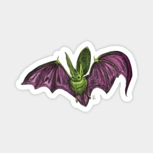 Townsend's Big-Eared Bat Magnet