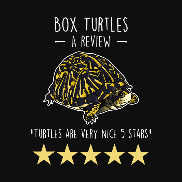 Box Turtle Review by Psitta