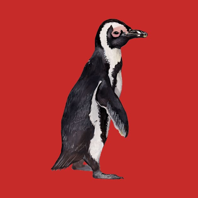 African Penguin by IndiasIllustrations