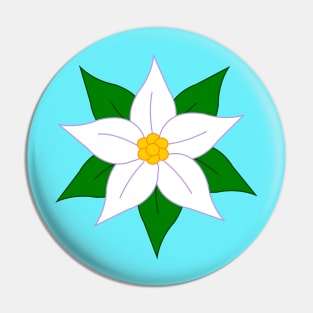 Poinsettia Pin