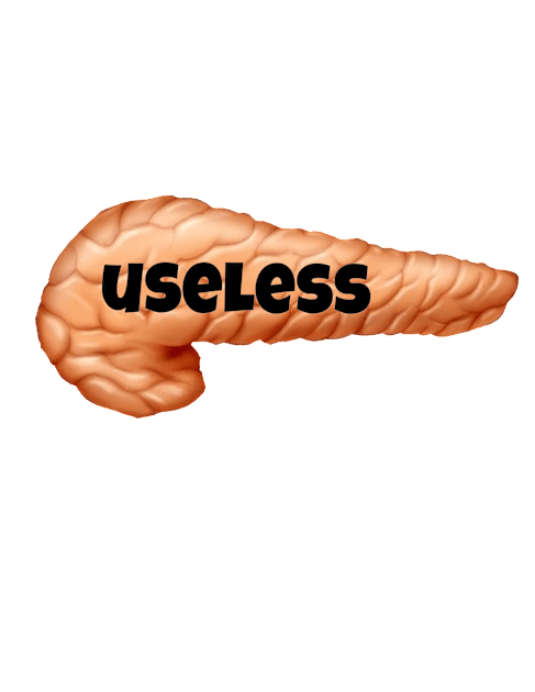 Useless Pancreas Kids T-Shirt by CatGirl101