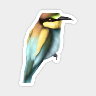 Cute Bee-Eater Drawing Magnet