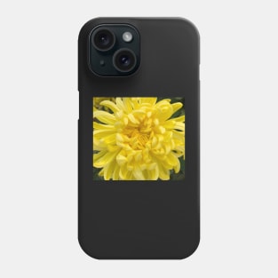 The WOW of the Yellow Dahlia Phone Case