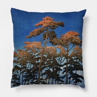 Hikawa Park in Omiya Pillow