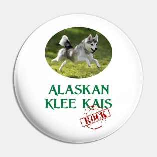 Alaskan Klee Kais Rock! Pin