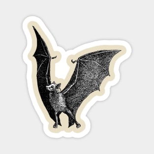 Bat Vintage Illustration Magnet